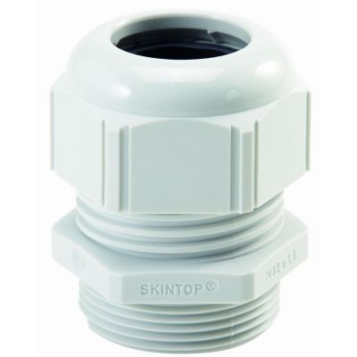 SKINTOP ST-M 12X1,5 RAL 7035JASNO SZARY (53111400)